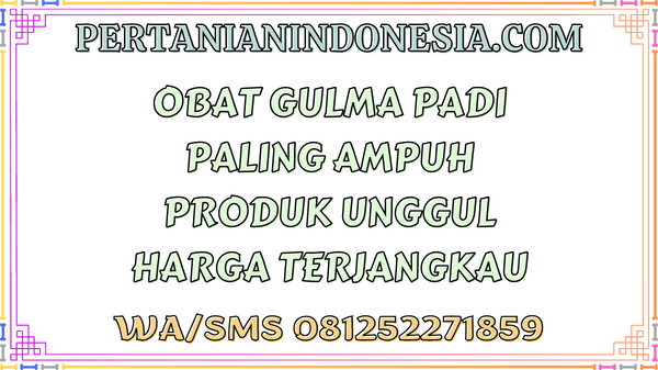 Obat Gulma Padi Paling Ampuh Produk Unggul Harga Terjangkau